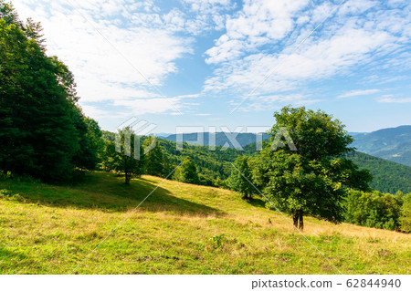 sunny mountain landscape in summer sunny mountain landscape in summer 62844940
