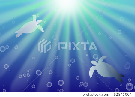 Sea turtle underwater sunlight 62845004