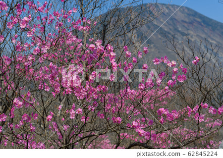 赤尾和南台山 62845224