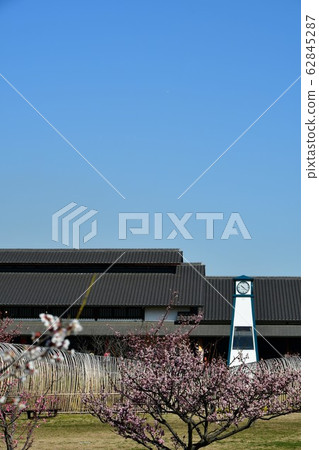 Sakuri Bairin Sakuri Bairin 62845287