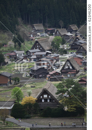 白川鄉合掌村 62846200