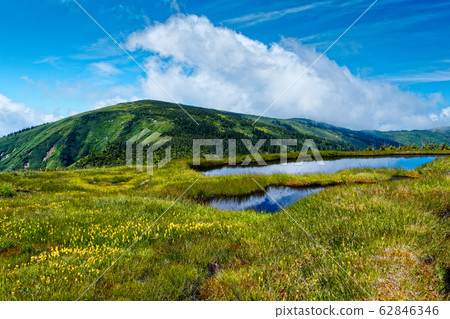 Summer marshland and Mt. Summer marshland and Mt. 62846346