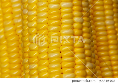 corn cob 62846508
