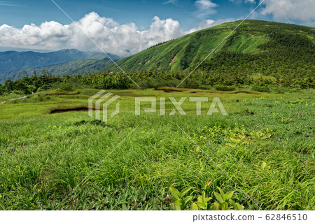 從池之岳沼澤地看的平岳頂峰山脊線 從池之岳沼澤地看的平岳頂峰山脊線 62846510