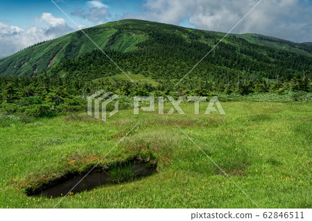 Hiragatake summit ridge line seen from the marshland of Ikenodake Hiragatake summit ridge line seen from the marshland of Ikenodake 62846511