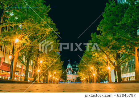 Night view in front of Hokkaido government office Night view in front of Hokkaido government office 62846797