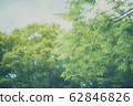 Pale green 62846826