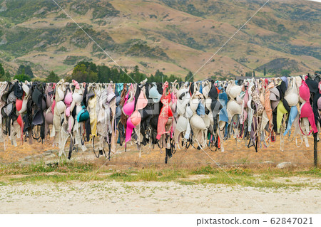 Hanging Bikini on road site New Zealand  62847021
