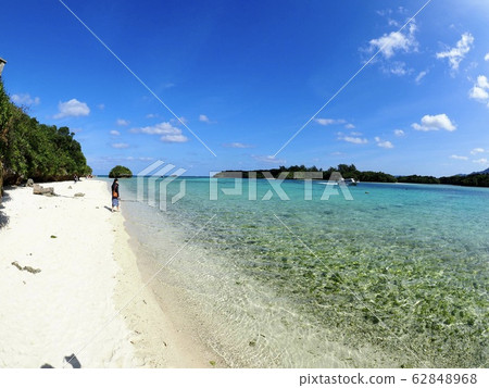 石崎海岸 石崎海岸 62848968