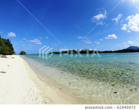 石崎海岸 石崎海岸 62848972