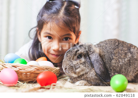 Cute asian child girl playing with cute Holland lop rabbit Cute asian child girl playing with cute Holland lop rabbit 62849118