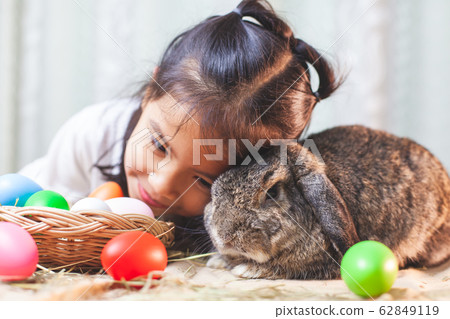 Cute asian child girl playing with cute Holland lop rabbit Cute asian child girl playing with cute Holland lop rabbit 62849119