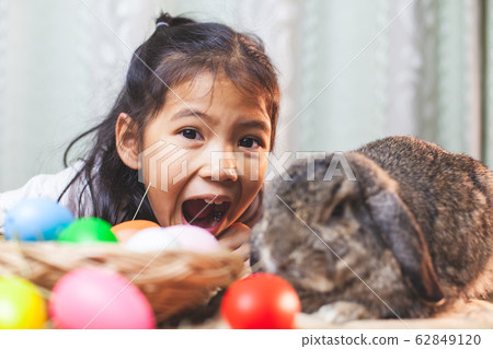 Cute asian child girl playing with cute Holland lop rabbit 62849120