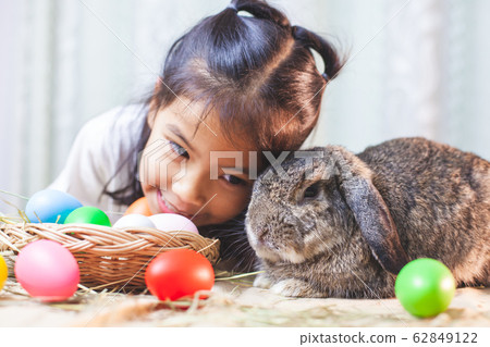 Cute asian child girl playing with cute Holland lop rabbit 62849122