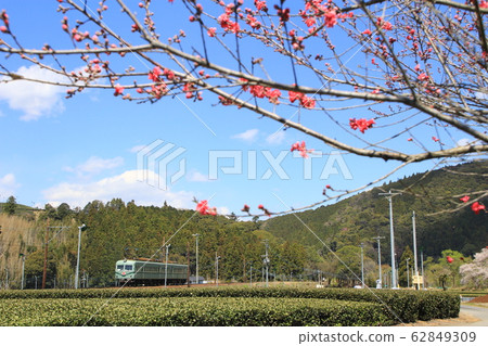 Spring scenery of Nukiri Spring scenery of Nukiri 62849309