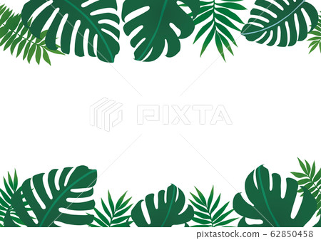 熱帶植物背景框架 62850458