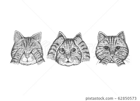 Hand drawn 3 wise cats with hands covering eyes, ears and mouth, Vector Hand drawn 3 wise cats with hands covering eyes, ears and mouth, Vector 62850573