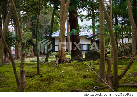 神社 神社 62850932