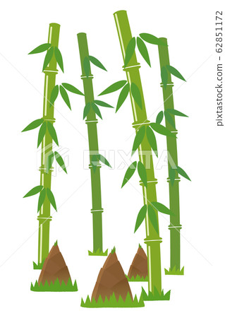 竹筍 竹筍 62851172