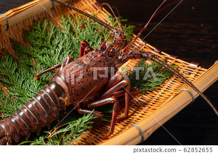 蝦伊勢 蝦伊勢 62852655