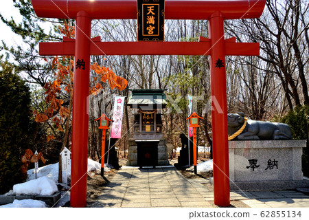 Tarumae Tenmangu Shrine Torii and shrine of the Tarumaeyama Shrine precinct shrine in Tomakomai City Tarumae Tenmangu Shrine Torii and shrine of the Tarumaeyama Shrine precinct shrine in Tomakomai City 62855134