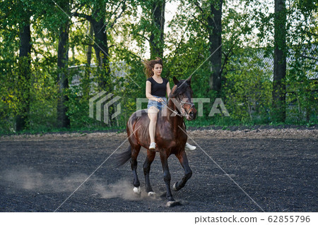 Young slender brunette woman on a horse ride Young slender brunette woman on a horse ride 62855796