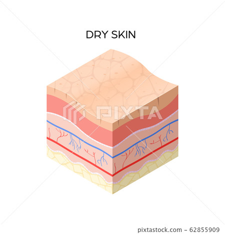 1R skin 1 1R skin 1 62855909