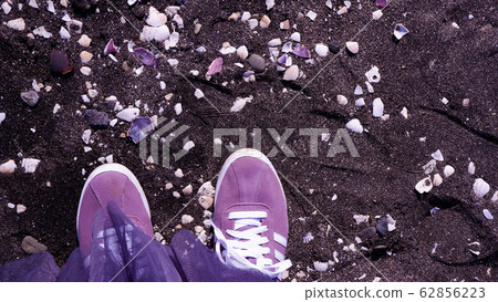 Sandy beach and shell 62856223
