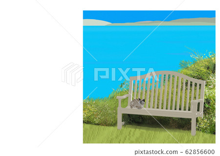 湖邊景觀與一隻貓的插圖 62856600