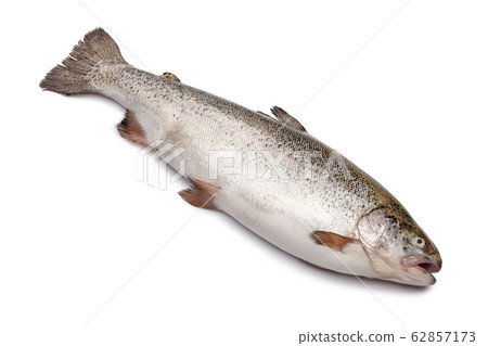 Fresh salmon fish isolated on white Fresh salmon fish isolated on white 62857173