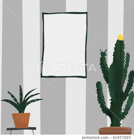 Sansevieria cactus cactus frame houseplant Sansevieria cactus cactus frame houseplant 62857803