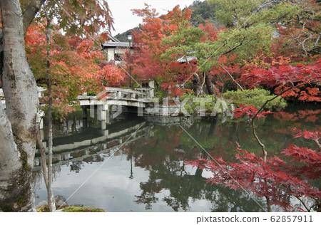 細政池塘，極樂橋和京都禪林寺（Eikando）的秋葉 62857911