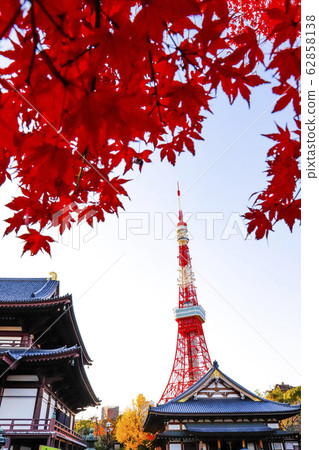 [Tokyo] Zojoji Temple and Tokyo Tower of autumn leaves 62858138