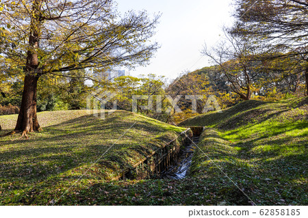 [Tokyo] Hamarikyu Gardens in early winter @ Kamoba 62858185