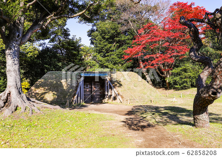 [Tokyo] Hamarikyu Gardens in early winter @ Kamoba 62858208