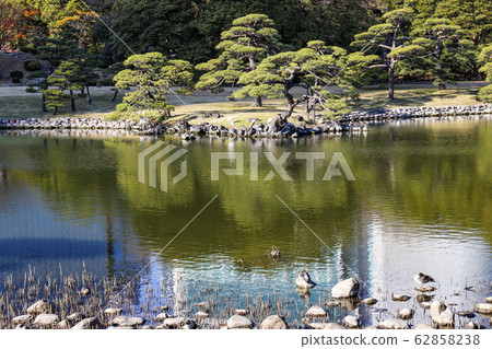 [Tokyo] Hamarikyu Garden in early winter, Shioiri Pond 62858238