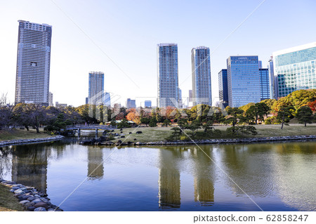 [東京]初冬的Hamarikyu花園 62858247
