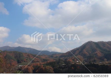 秋天的落葉和天空 秋天的落葉和天空 62858369