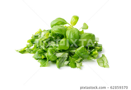 Fresh Green Chopped Basil Leaves Isolated on White 62859370