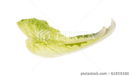 Fresh Green Leaf of Chinese Cabbage, Napa Cabbage 62859380