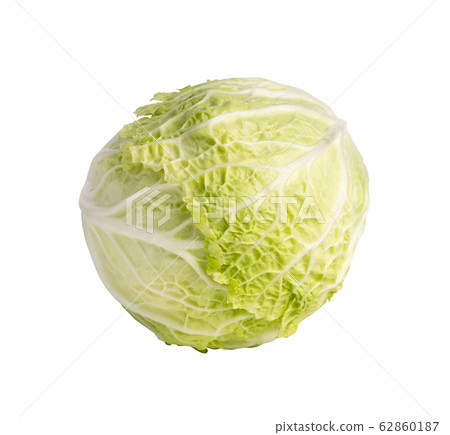 Whole Chinese Cabbage, Napa Cabbage or Wombok Whole Chinese Cabbage, Napa Cabbage or Wombok 62860187