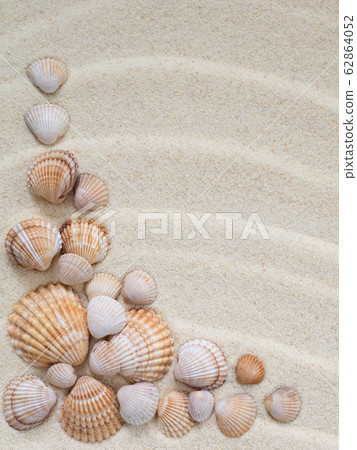 Composition of seashells on the sand 62864052