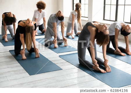 Group of multiethnic people in comfy sportswear performing Camel Pose 62864136