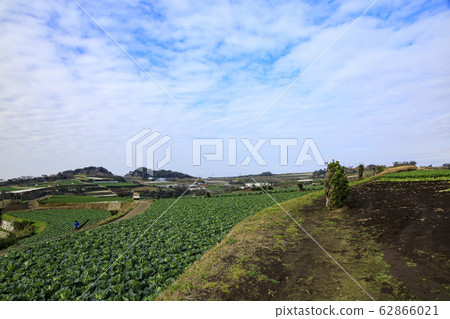 場（春天） 62866021