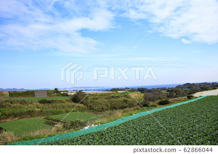 場（春天） 62866044