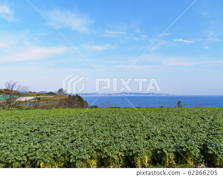 Field (spring) 62866205