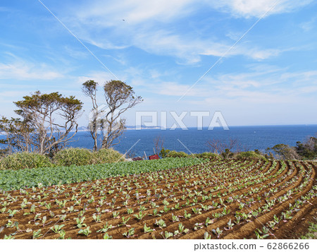 Field (spring) Field (spring) 62866266