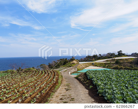 Field (spring) Field (spring) 62866267