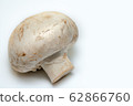 White champignon mushroom on a white background 62866760