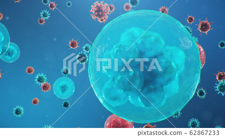 3D illustration Coronavirus concept under the microscope. Human cells, the virus infects cells. Epidemic, pandemic affecting the respiratory tract. Fatal viral infection. 3D illustration Coronavirus concept under the microscope. Human cells, the virus infects cells. Epidemic, pandemic affecting the respiratory tract. Fatal viral infection. 62867233